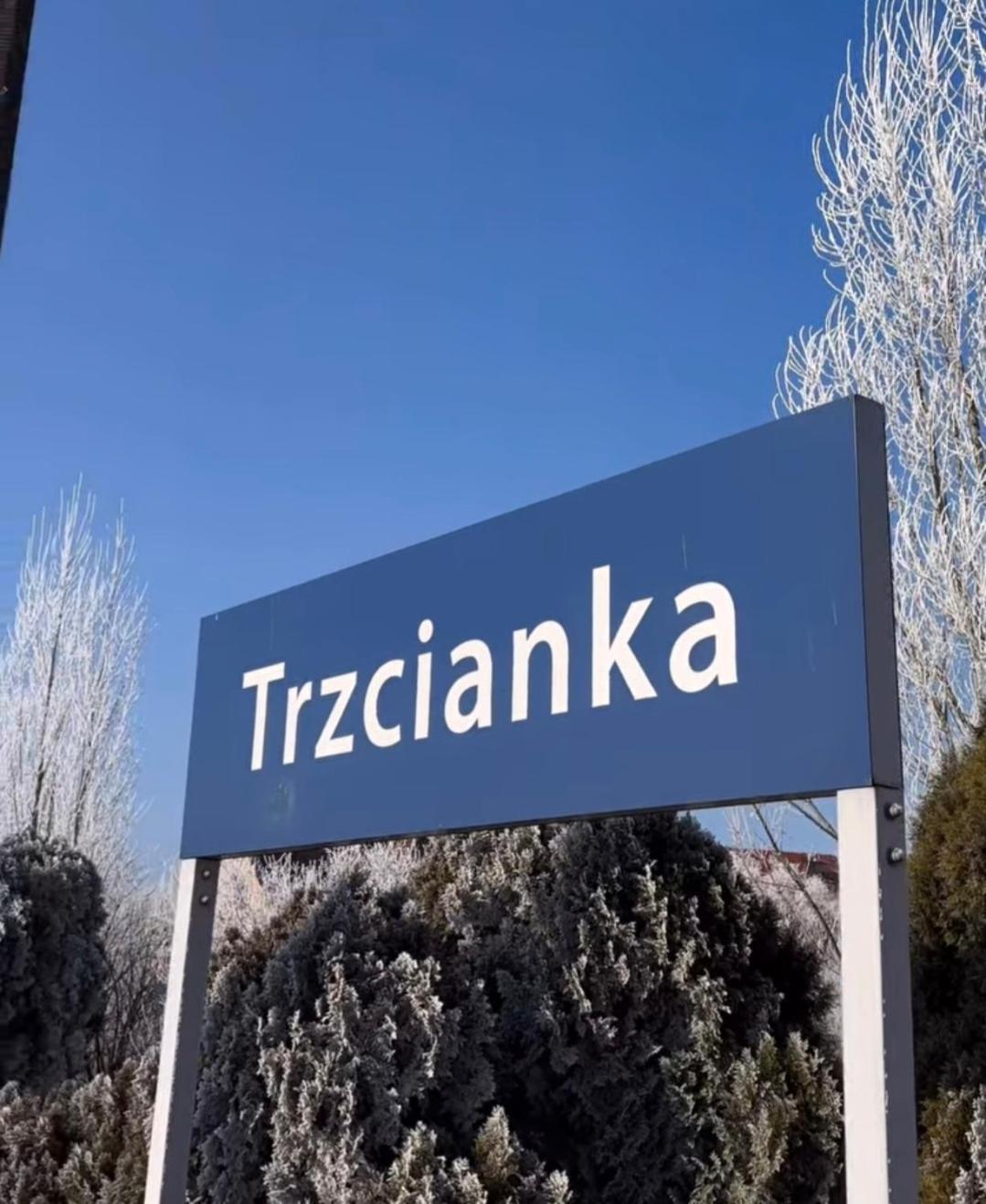 Noclegi "Las Wypas" Trzcianka ซึชานกา ภายนอก รูปภาพ